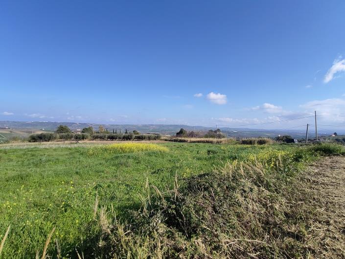 Image No.8-Land for sale