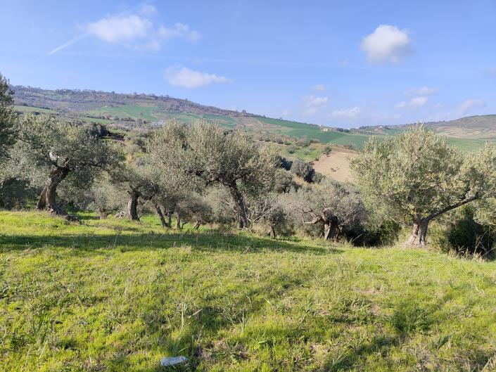 Image No.11-Land for sale