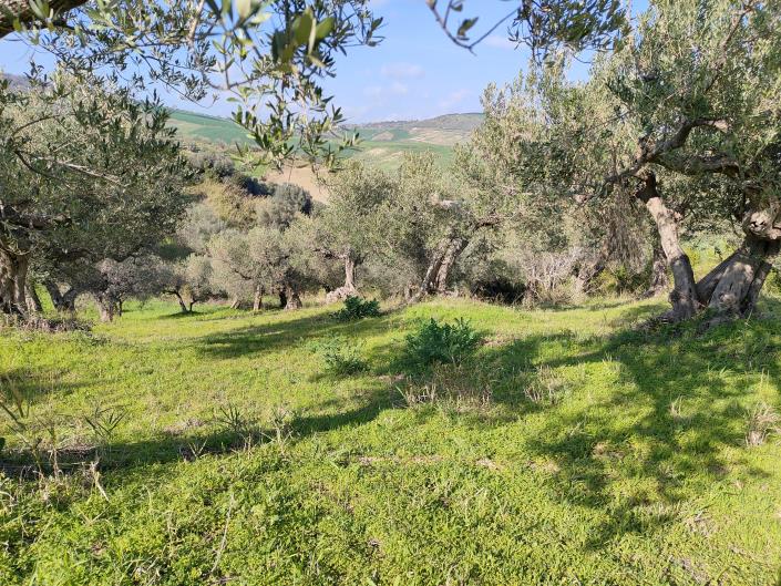 Image No.12-Land for sale