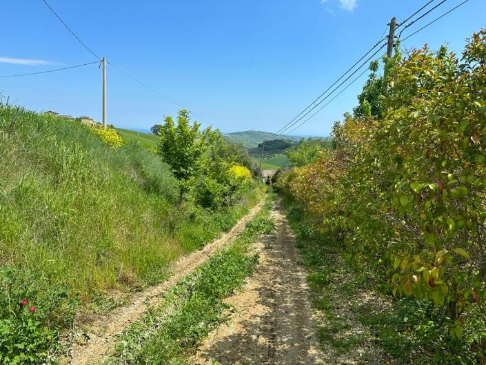 Image No.3-2 Bed Cottage for sale