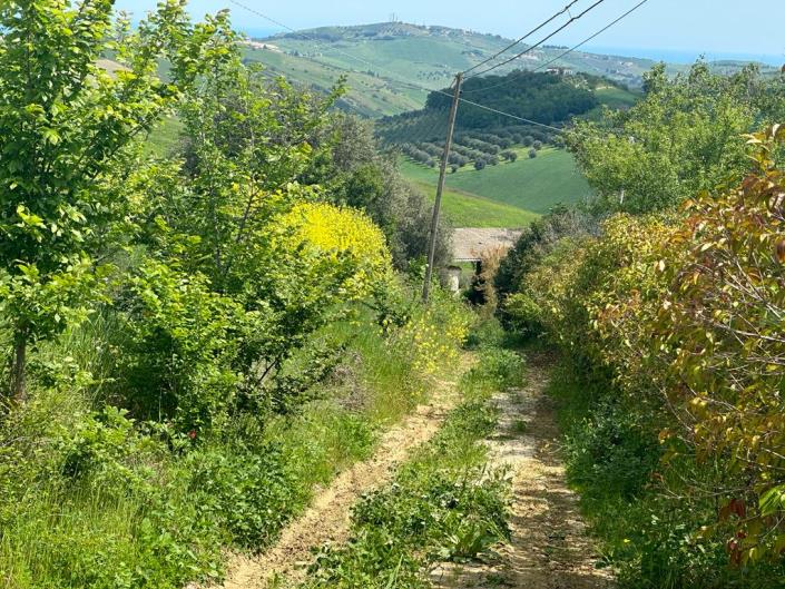 Image No.4-2 Bed Cottage for sale