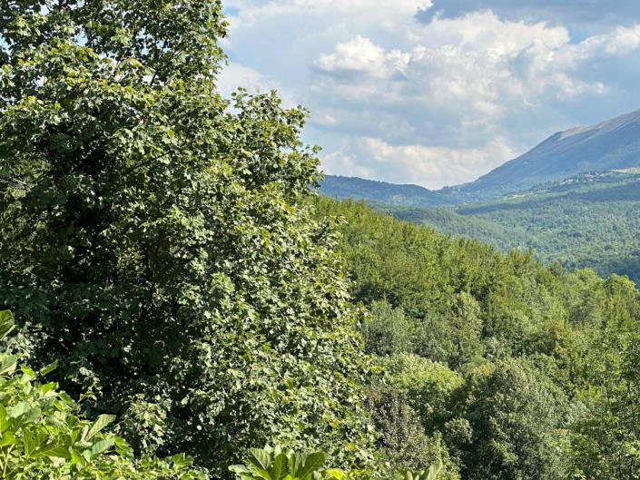 Image No.3-2 Bed Property for sale