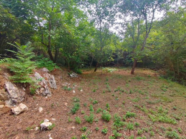 Image No.5-2 Bed Property for sale