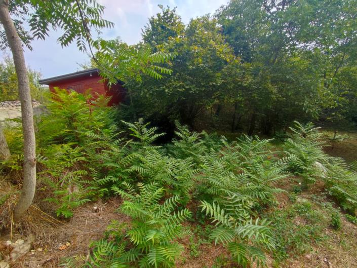 Image No.6-2 Bed Property for sale