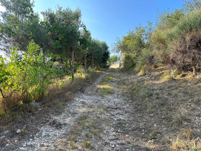 Image No.4-1 Bed Country Property for sale