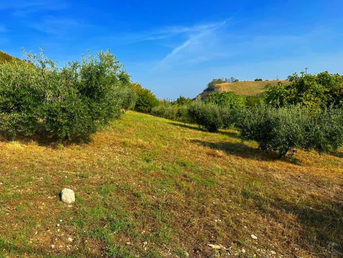 Image No.6-1 Bed Country Property for sale