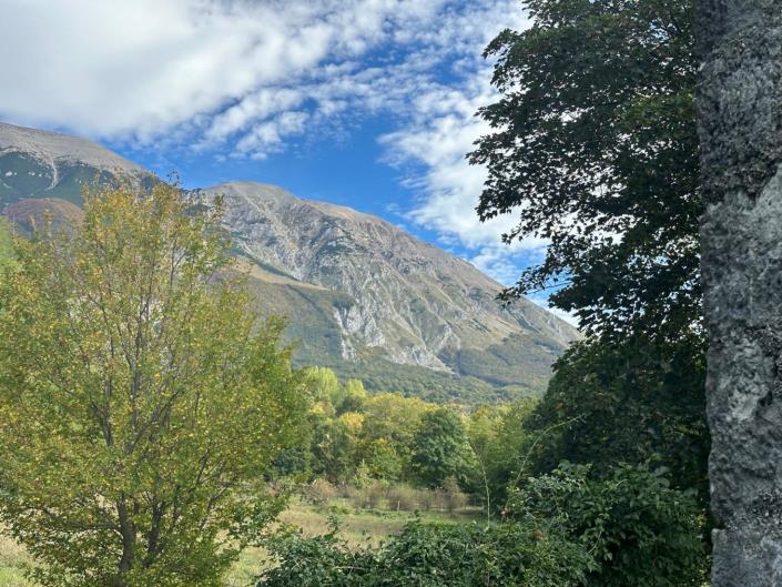 Image No.3-Cottage for sale