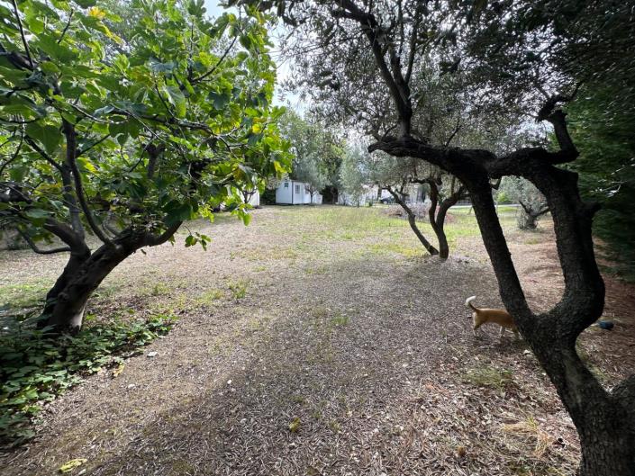 Image No.5-Land for sale