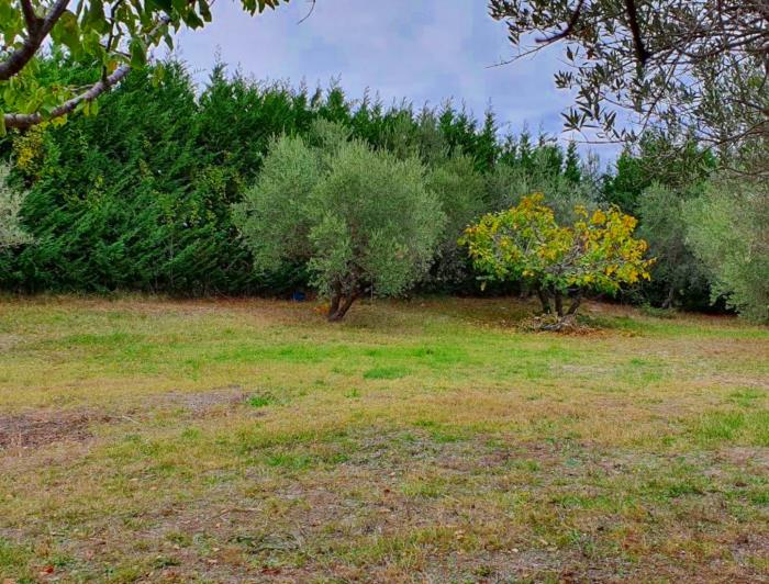 Image No.6-Land for sale