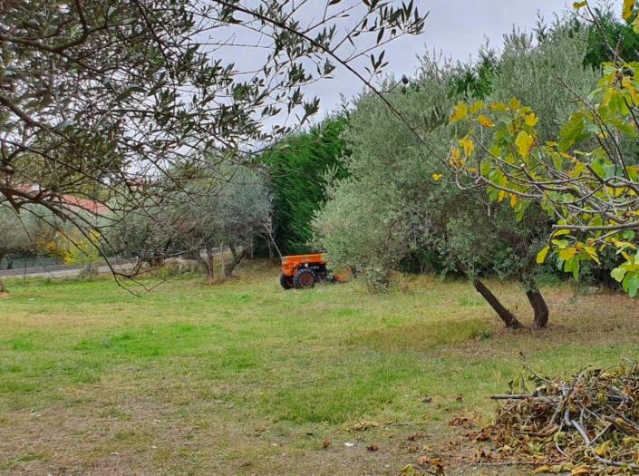 Image No.8-Land for sale