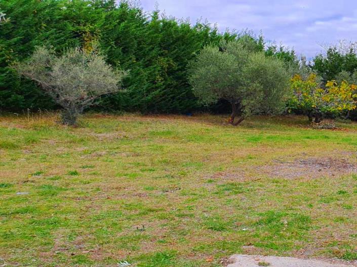 Image No.11-Land for sale