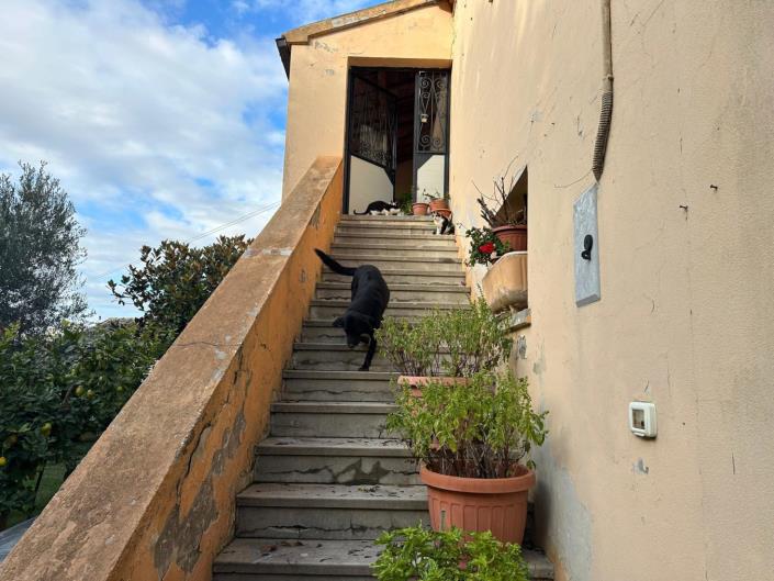 Image No.9-3 Bed Cottage for sale