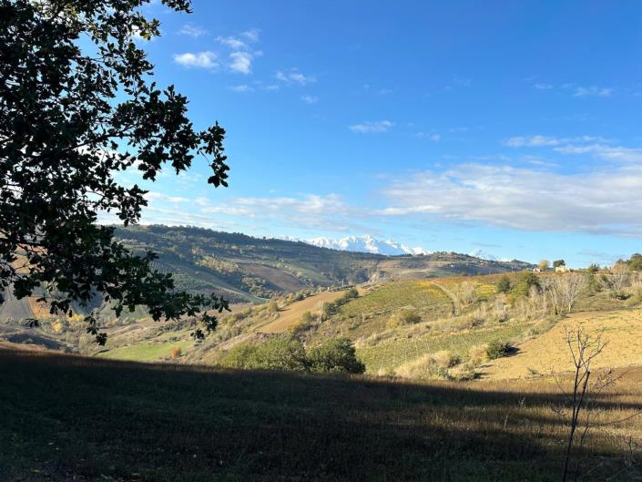 Image No.28-3 Bed Cottage for sale