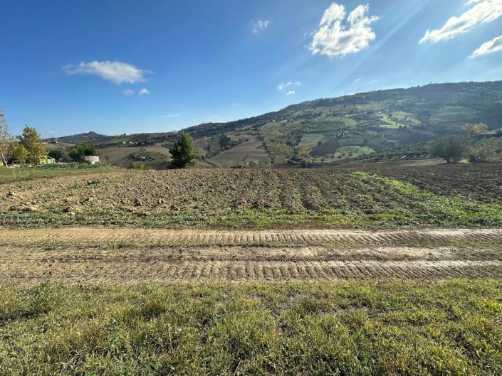 Image No.3-Land for sale