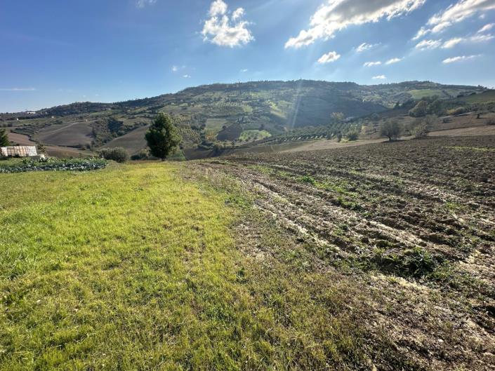 Image No.5-Land for sale