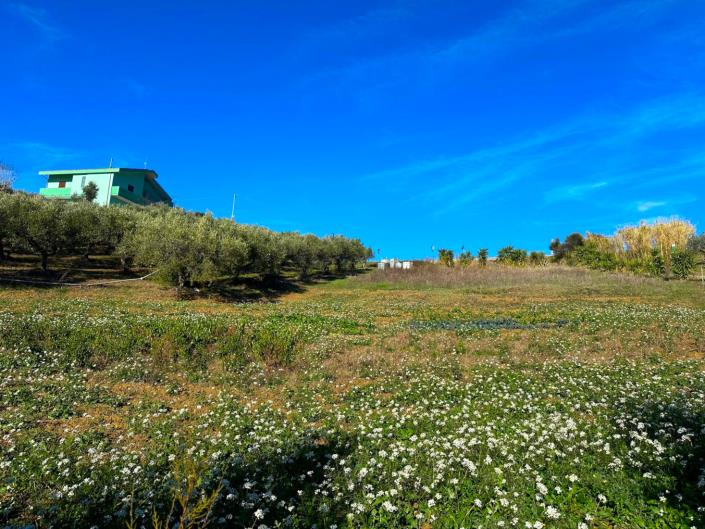 Image No.14-2 Bed Villa / Detached for sale