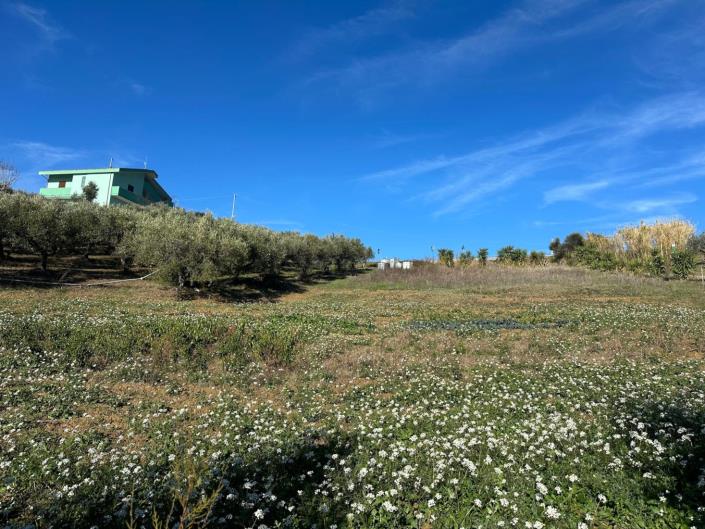 Image No.4-Land for sale