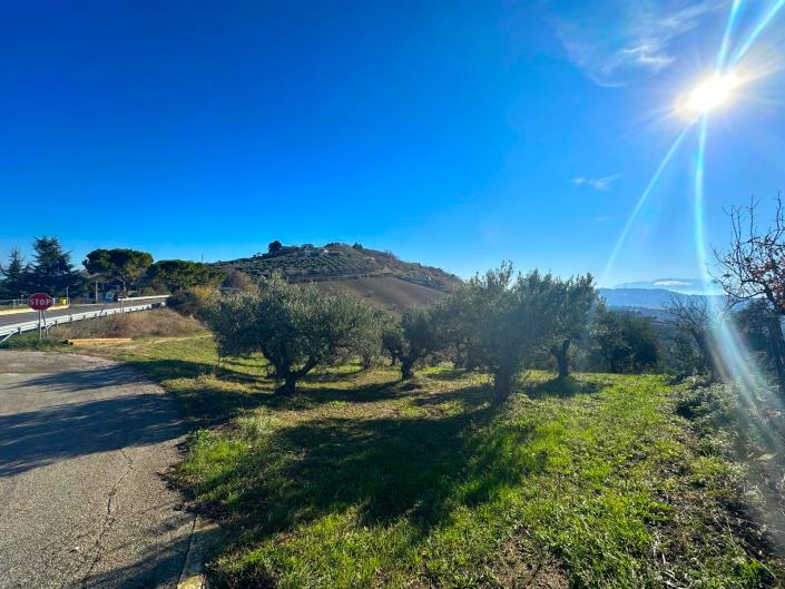 Image No.6-Land for sale