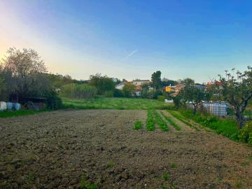 1 - Nocciano, Land