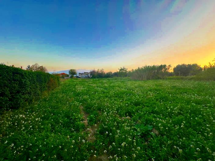 Image No.7-Land for sale