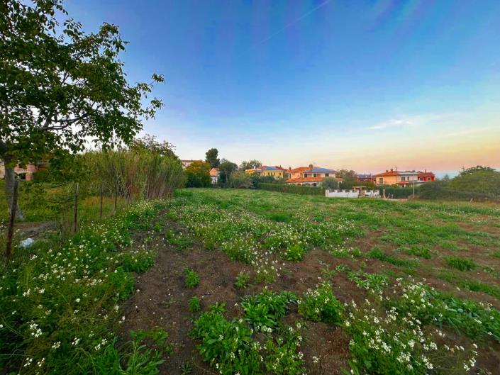 Image No.4-Land for sale