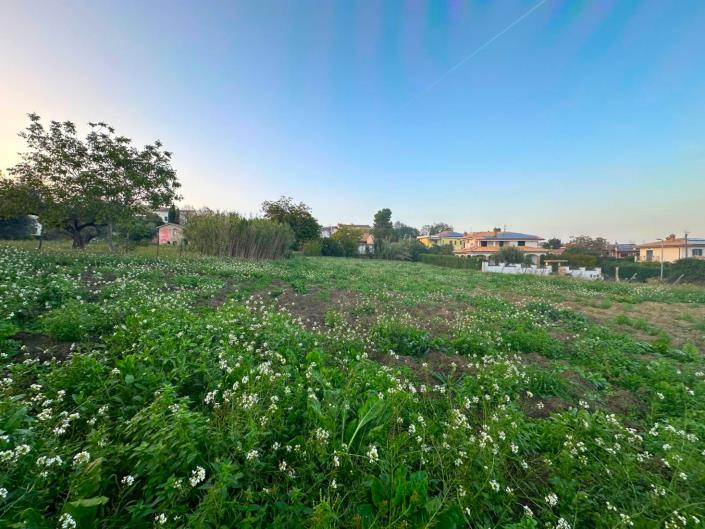 Image No.6-Land for sale