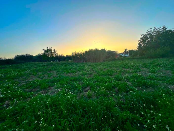 Image No.12-Land for sale