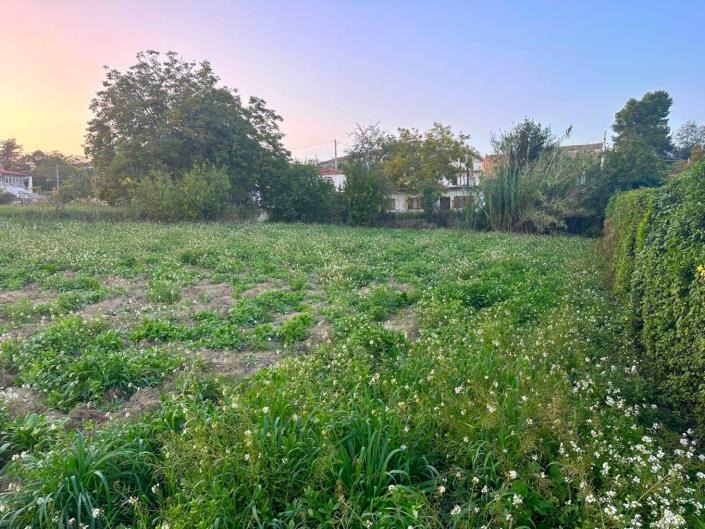 Image No.13-Land for sale