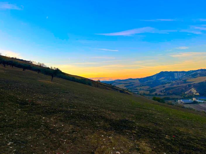 Image No.8-Cottage for sale