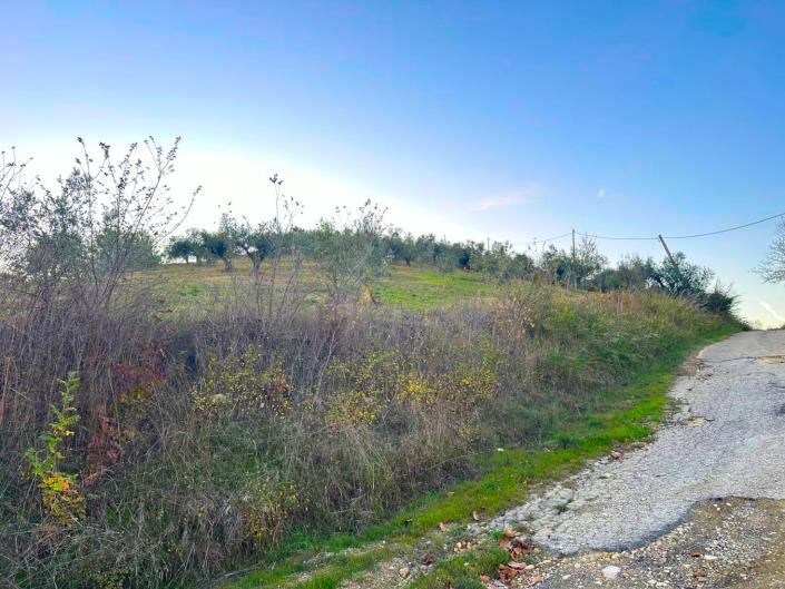 Image No.2-Cottage for sale