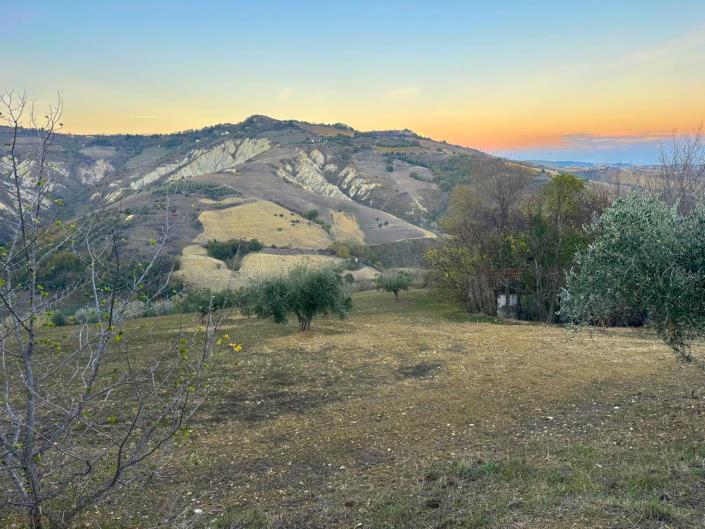 Image No.18-Cottage for sale