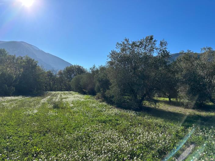 Image No.19-2 Bed Property for sale