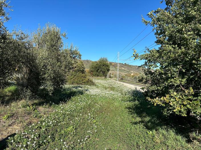 Image No.20-2 Bed Property for sale