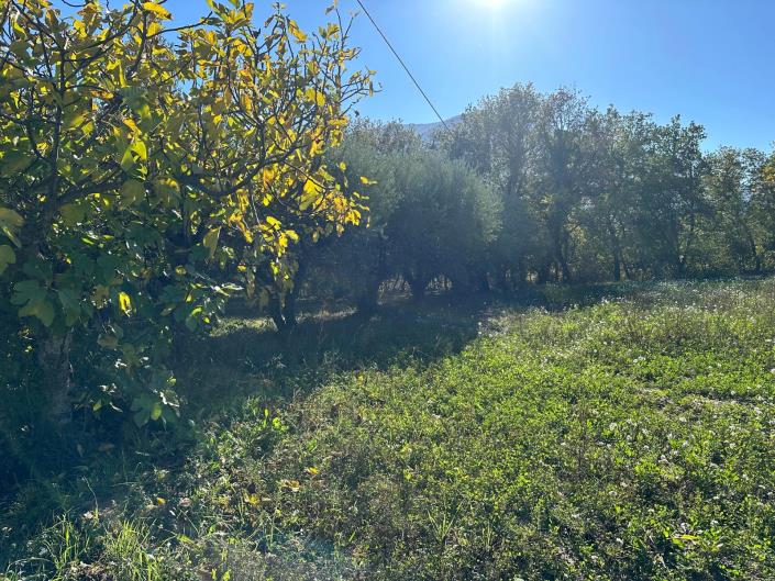 Image No.21-2 Bed Property for sale