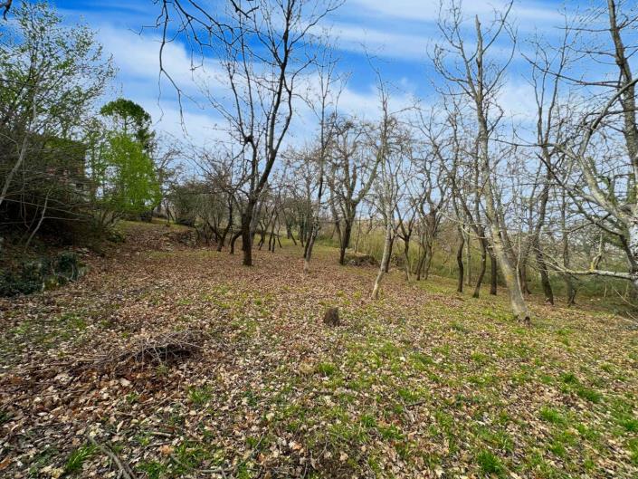 Image No.5-2 Bed Property for sale