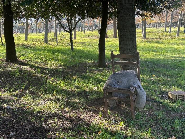 Image No.3-Property for sale