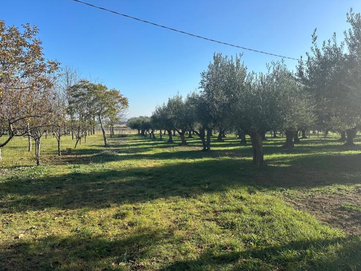 Image No.5-Property for sale