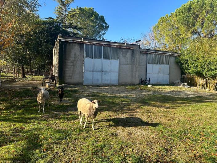 Image No.6-Property for sale