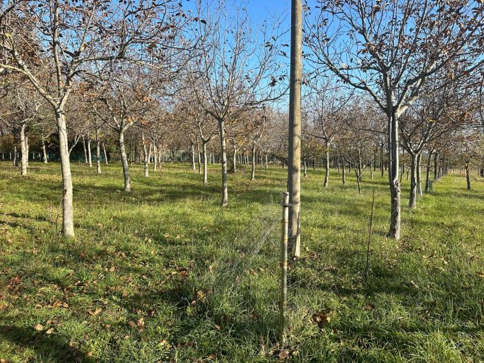 Image No.7-Property for sale