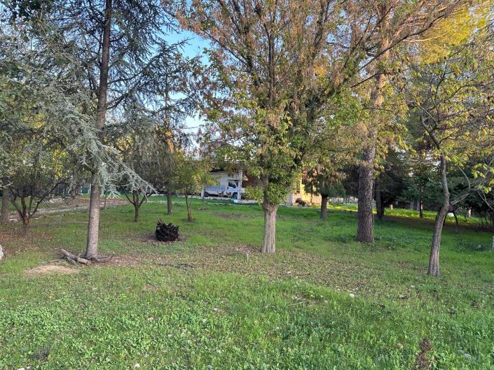 Image No.9-Property for sale