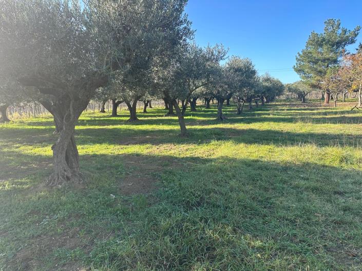 Image No.10-Property for sale