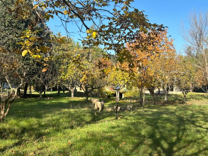 Image No.11-Property for sale