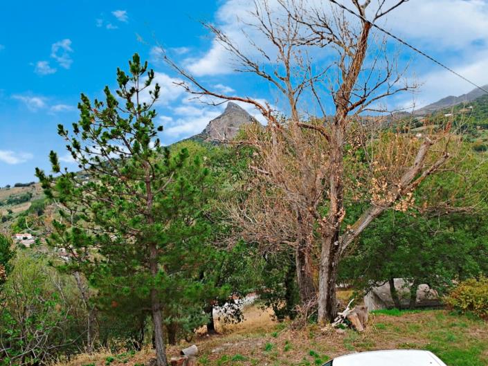 Image No.12-2 Bed House/Villa for sale