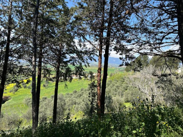 Image No.6-4 Bed Property for sale