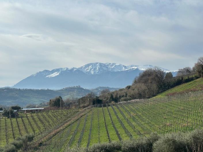 Image No.6-8 Bed Property for sale