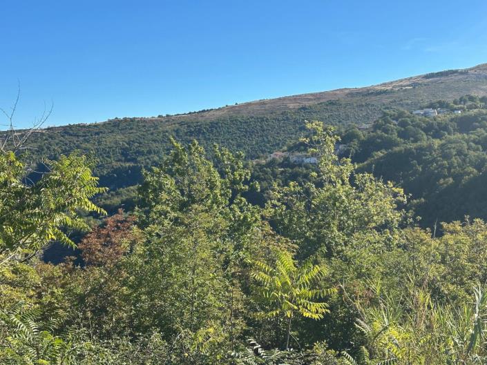 Image No.26-2 Bed Property for sale