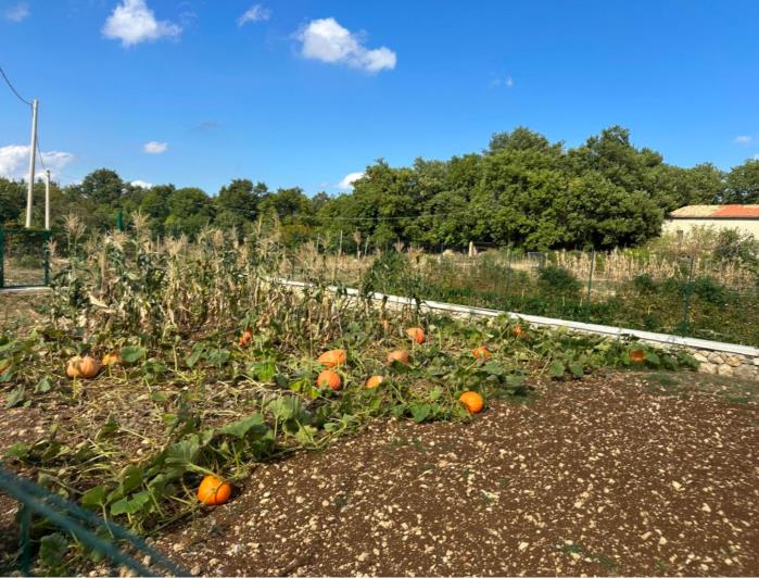 Image No.7-3 Bed Semi-Detached for sale