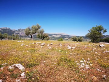 991-land-for-sale-in-periana-26962-large