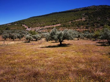 991-land-for-sale-in-periana-26957-large