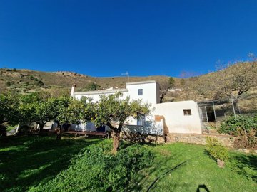 1167-villa-for-sale-in-alcaucin-35986-large